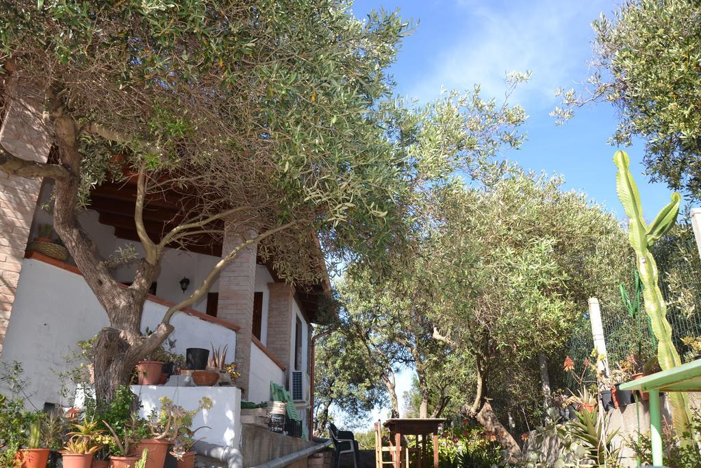 Mi Casa Es Tu Casa 79 Acomodação com café da manhã Portoscuso Exterior foto